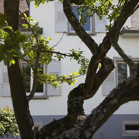 Aulouison Maison Spacieuse Et Paisible De 200 M2, A Proximite Du Parlement Europeen Гостевой дом Страсбург