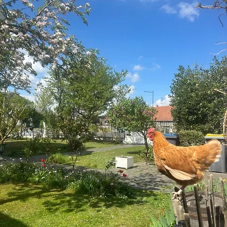 Aulouison Strasbourg