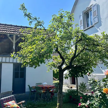 Au Louison - Maison 160 M2 - Jardin Et Parking Pres Parlement 4* Straßburg