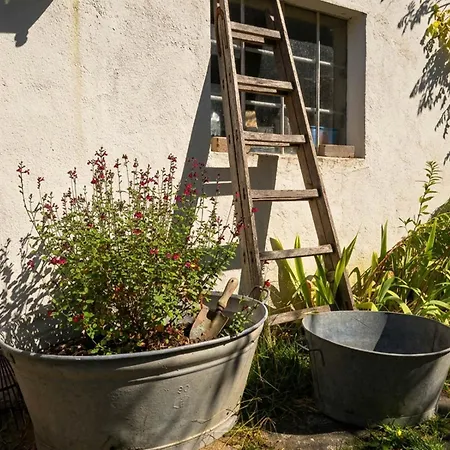 Gasthof Au Louison - Maison 160 M2 - Jardin Et Parking Pres Parlement
