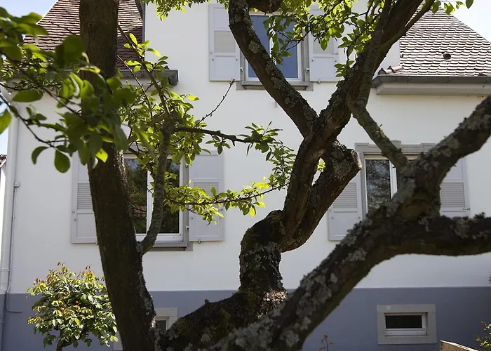 Aulouison Maison Spacieuse Et Paisible De 200 M2, A Proximite Du Parlement Europeen Gasthuis Straatsburg