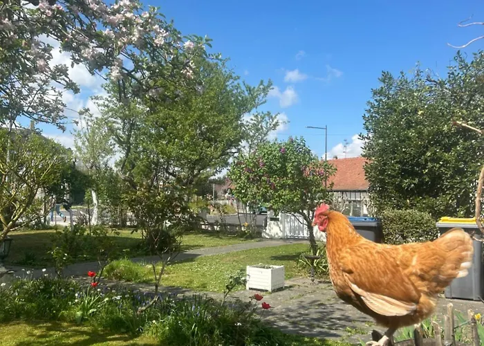 Aulouison Maison Spacieuse Et Paisible De 200 M2, A Proximite Du Parlement Europeen Straatsburg